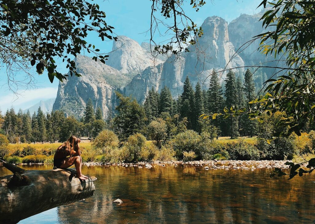 woman sitting on wood near body of water